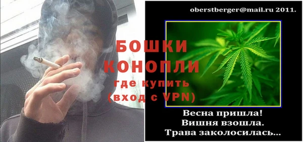 молекула духа Бугульма