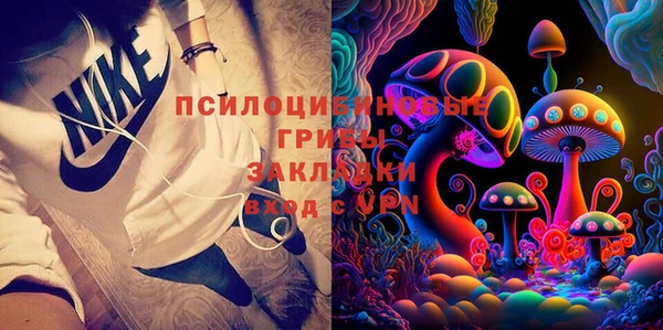 твердый Бородино