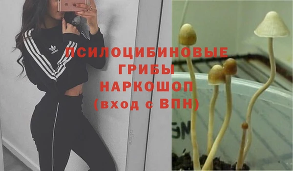 твердый Бородино