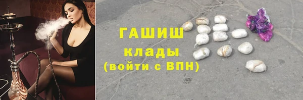 твердый Бородино