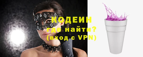 твердый Бородино