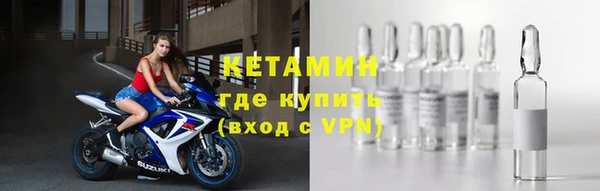 твердый Бородино