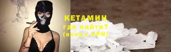 твердый Бородино