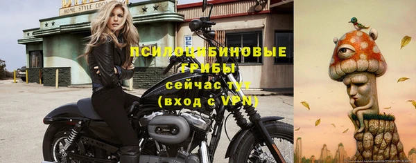 твердый Бородино