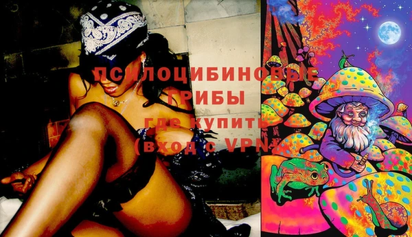 твердый Бородино