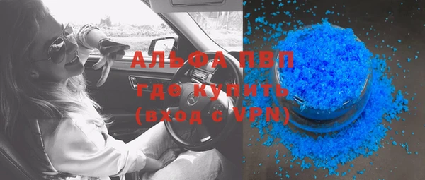 твердый Бородино