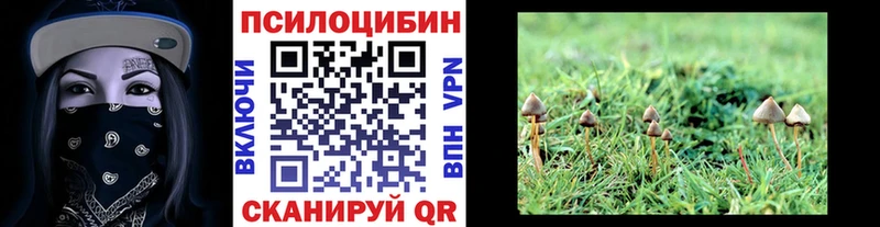 мега онион  Тамбов  Галлюциногенные грибы Psilocybe 