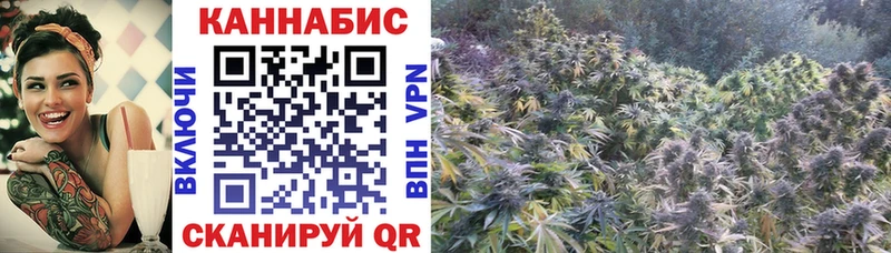 hydra вход  мориарти телеграм  МАРИХУАНА ГИДРОПОН  Тамбов 